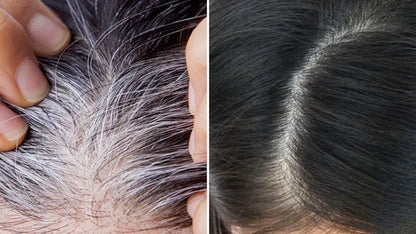 Shampoo ChaoCanas 3 en 1 El original - despídete de tus canas sin químicos