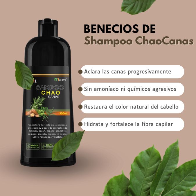 Shampoo ChaoCanas TM 3 en 1 - Despídete de las canas SIN tintes químicos